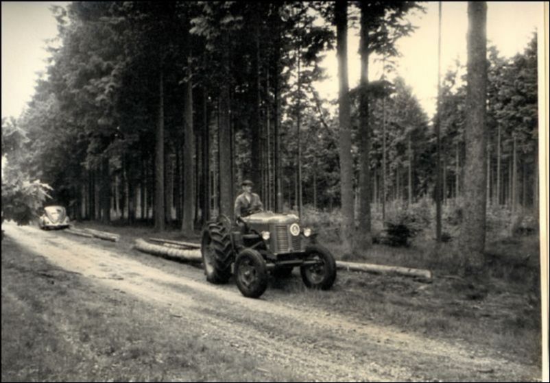 udslæbning af tømmer med plantagens traktor